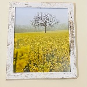 Canola Fields, Pa
Picture14/11, frame 16/13, distressed white, rustic